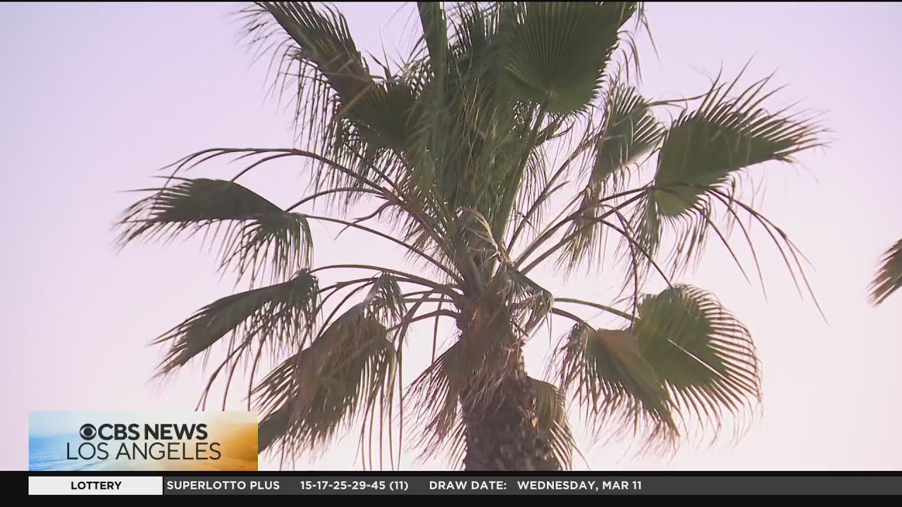 Southern California braces for potential record-breaking heat