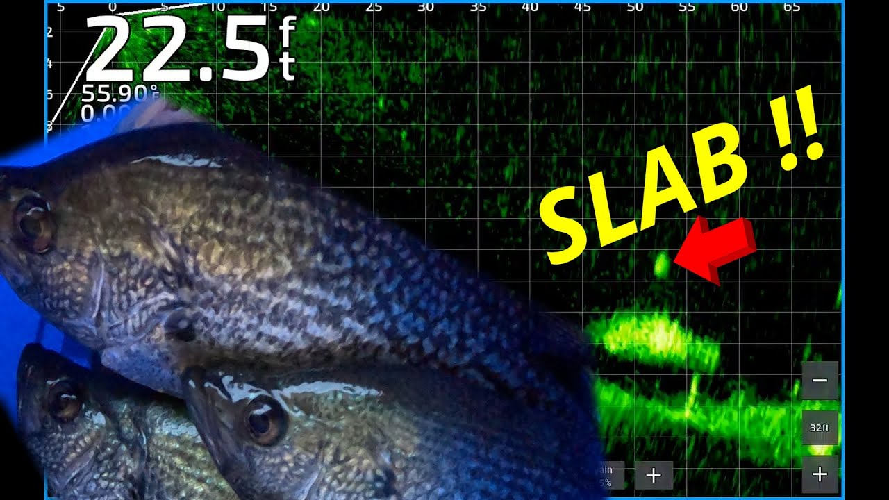 SPRINGTIME LIVESCOPE CRAPPIE FISHING !!