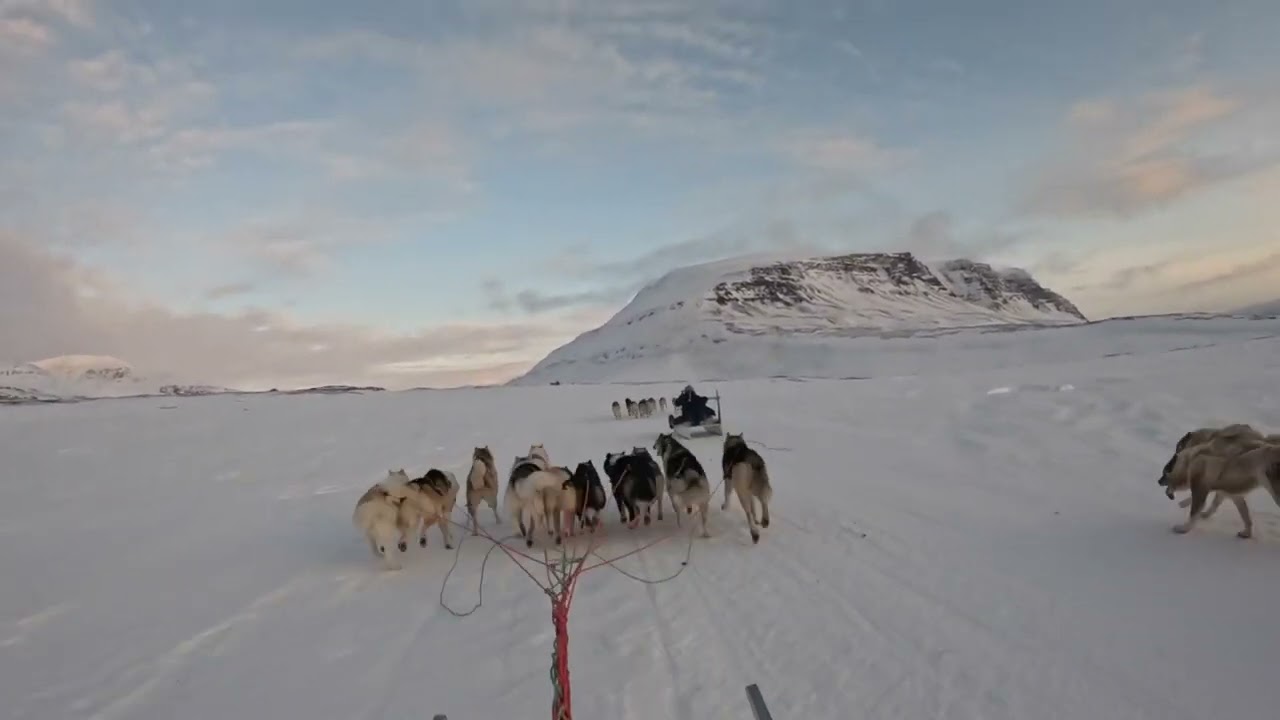 1 Feb Qeqertarsuarmi Sukkaniunneq Danny Mølgaard
