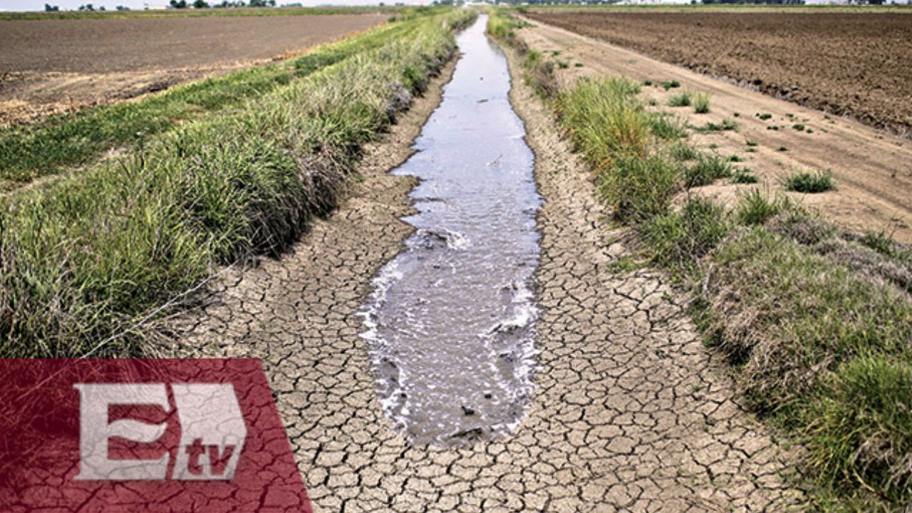 Restringe California consumo de agua por histórica sequía  / Opiniones encontradas