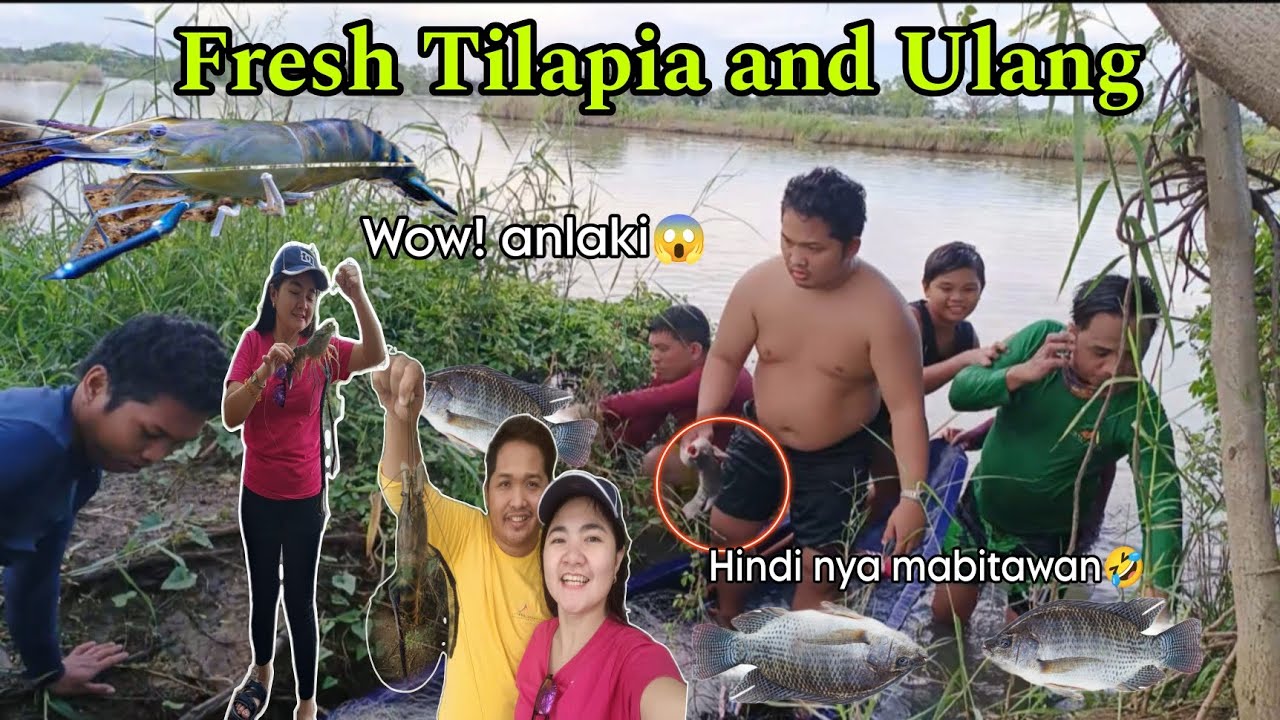 FISHING TILAPIA AND ULANG | HERLYN BATIN
