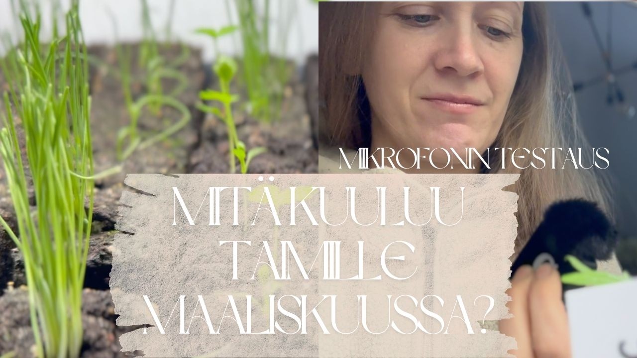 Kylvötilanne maaliskuussa - miltä näyttää taimihyllyssä?