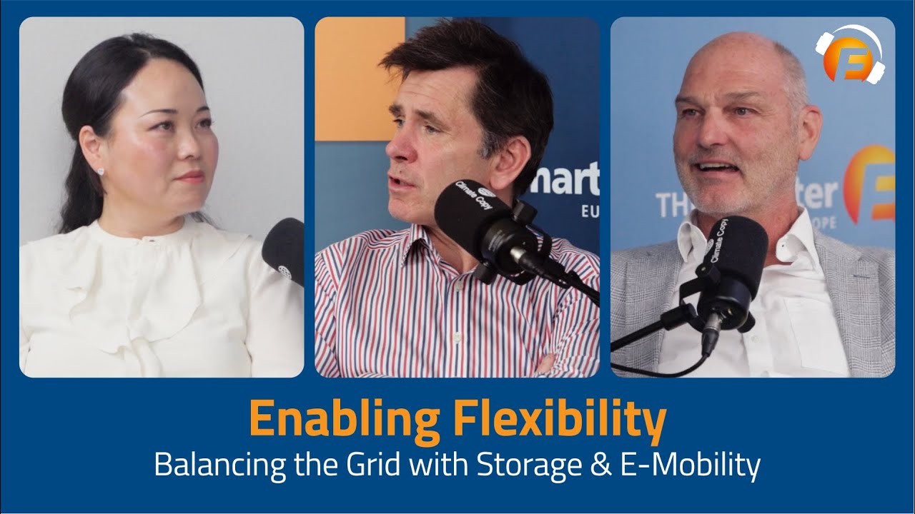 Enabling Flexibility: Balancing the Grid with Storage & E-Mobility