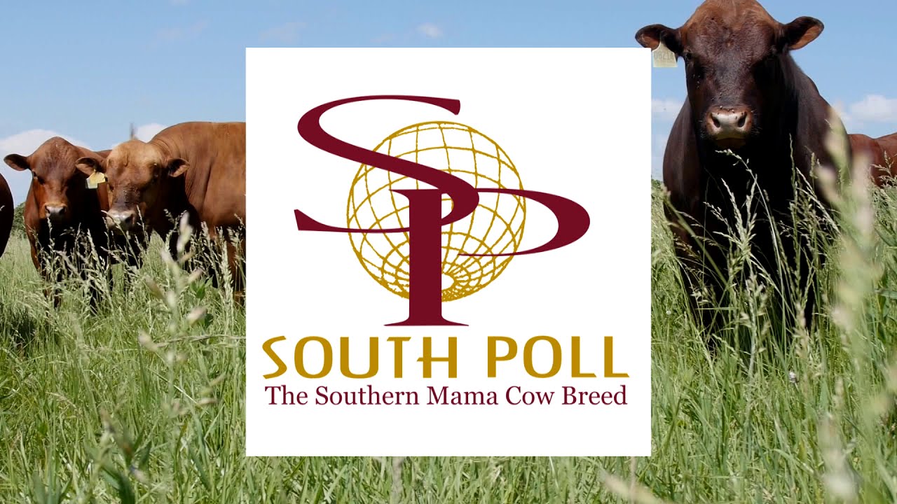 Introduction to South Poll with Teddy Gentry