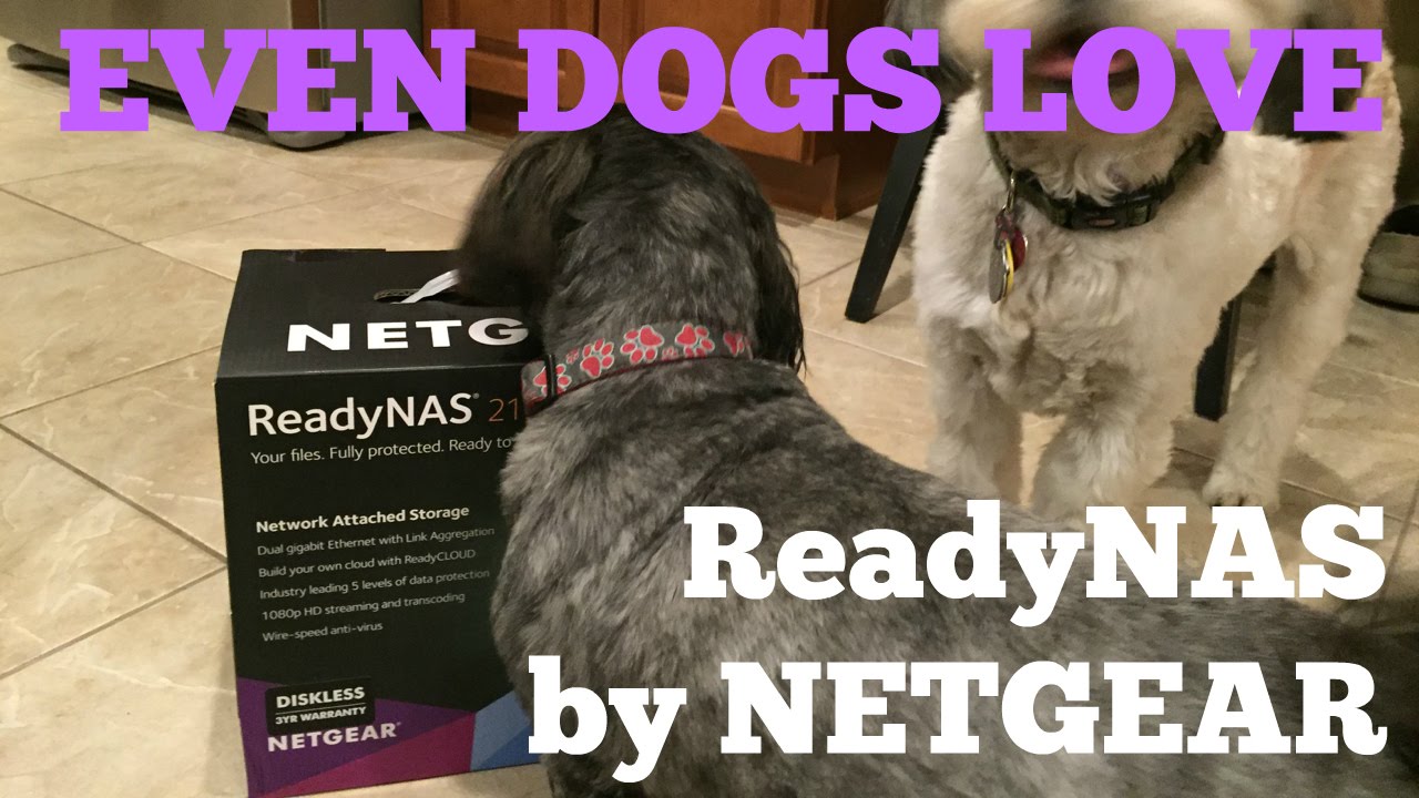 Netgear ReadyNAS review