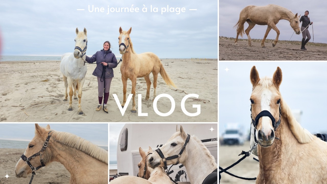 Une journée à la plage
