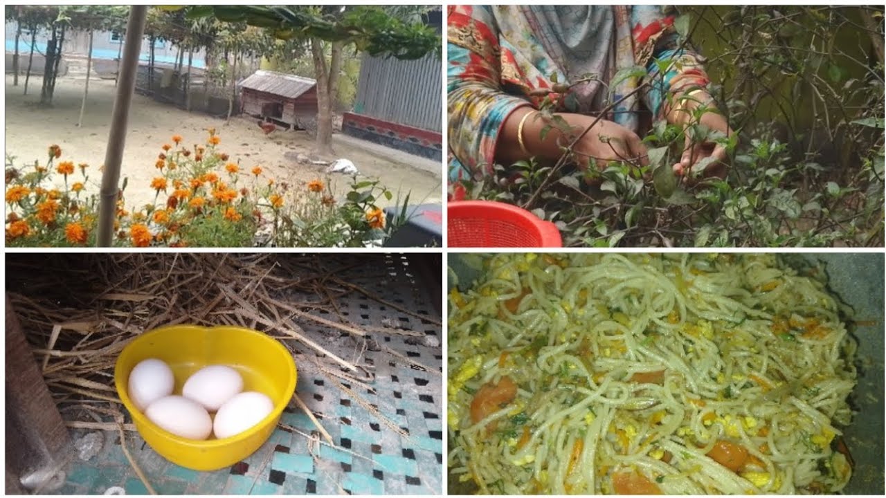 গ্রামের সকাল ঘরদুয়ার ঝাড়ু দেওয়া হাঁস মুরগি ছেড়ে দেওয়া।@faridakitchenwithvlog#foryou..