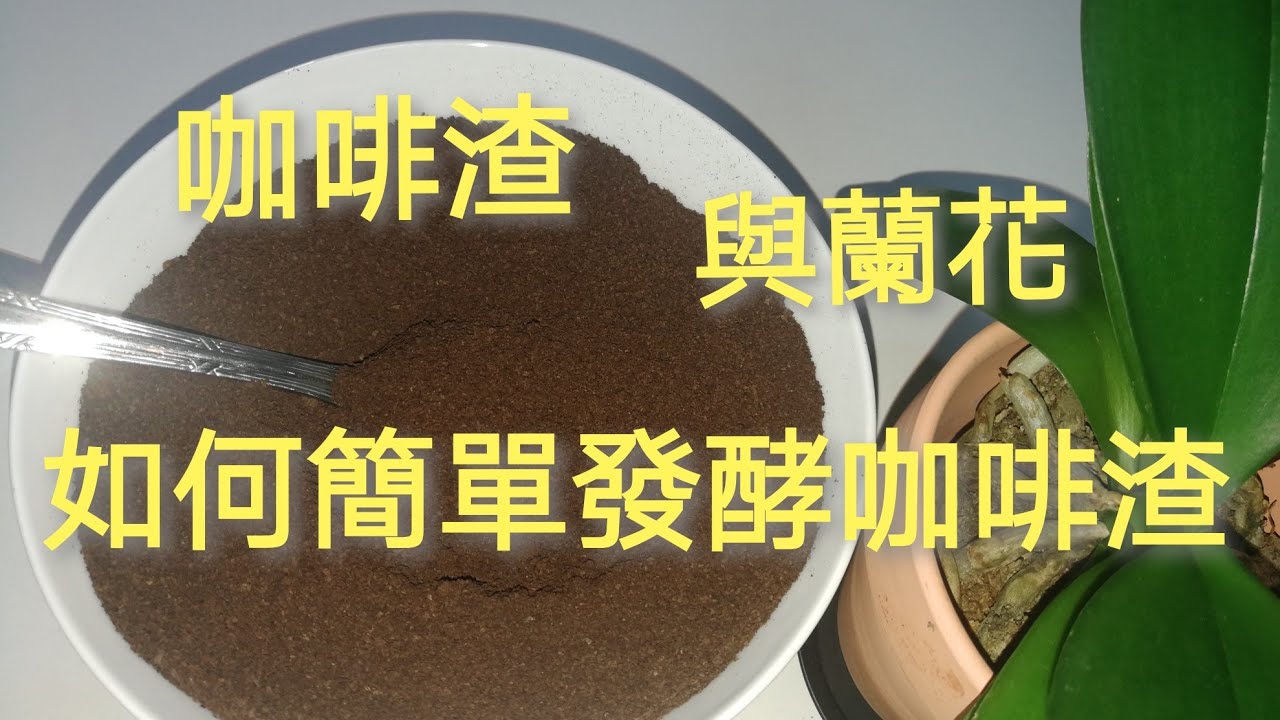 蘭花種植用上咖啡渣，咖啡渣簡單發酵，為了講詳細怕啰嗦請慎入9/6/2020