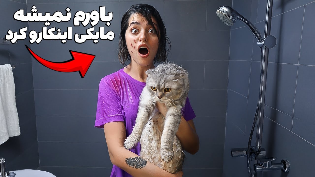 ❌ بالاخره بعد ۳ سال نوبت حموم کردن گربه بزرگم مایکی شد ❌