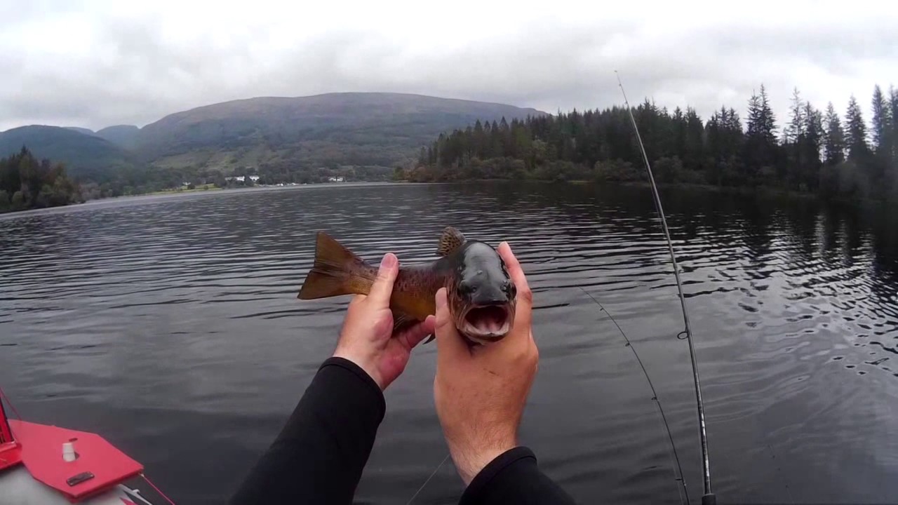 Fishing Loch Ard - 2016