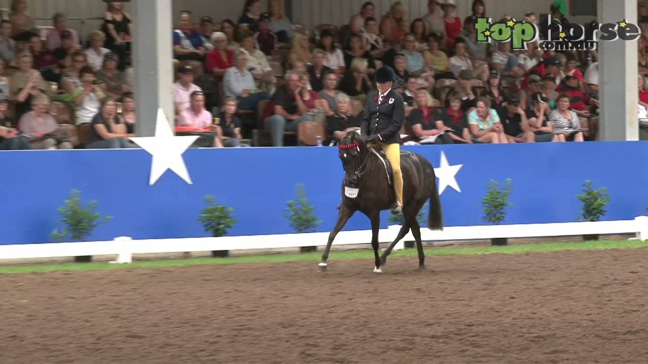 www.tophorse.com.au - Equestrian Australia Show Horse & Rider Championships - Large Pony
