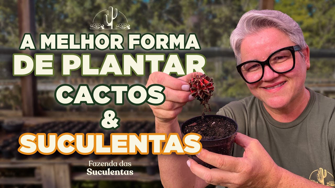 Qual a FORMA CORRETA de plantar SUCULENTAS? | Fazenda das Suculentas