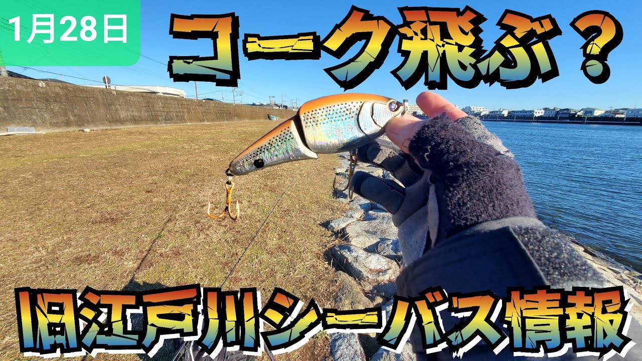 【フィッシュマン】コーク良い感じに飛びますか？旧江戸川シーバス情報。
