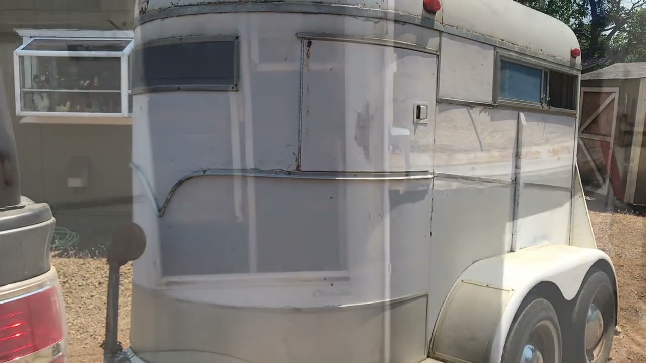 ￼ Horse Trailer Ice cream ￼Project￼ #1