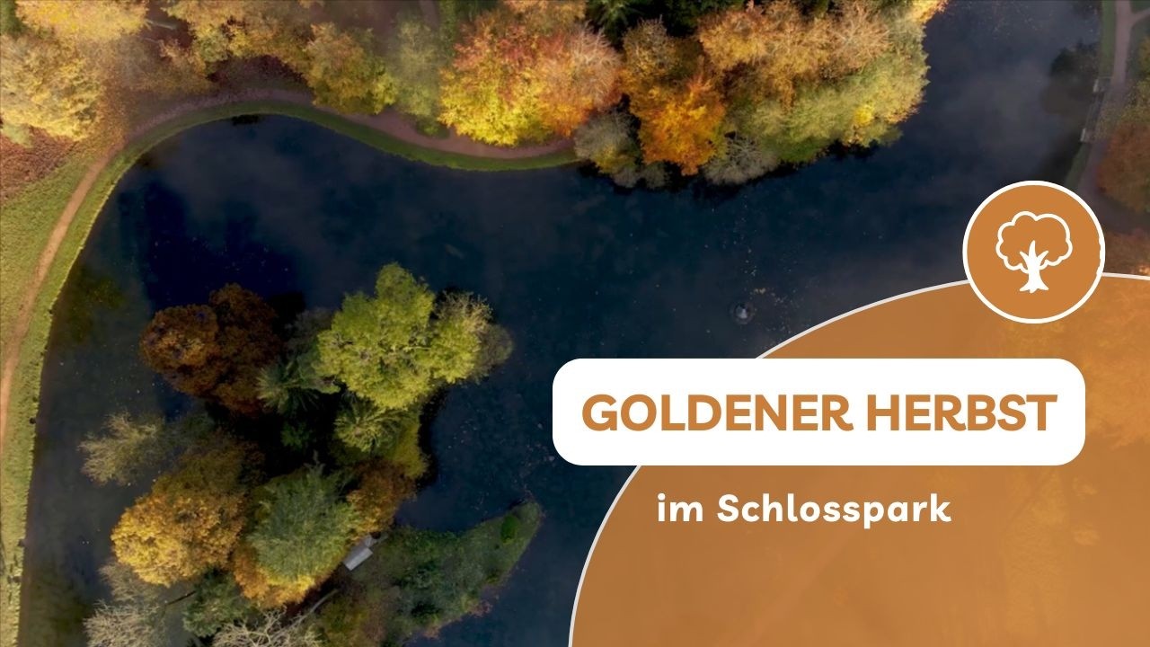 Herbstzauber im Schlosspark Donaueschingen – Wo die Natur in Farben tanzt
