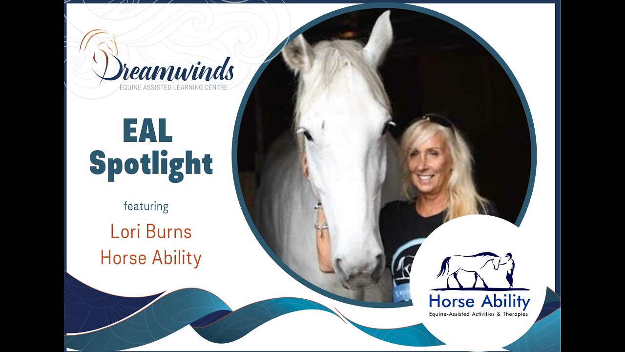 Dreamwinds EAL Spotlight - Horse Ability EAL Centre