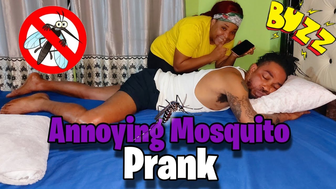 Mosquito Prank On Boyfriend || Annoying Prank || Mosquito sound