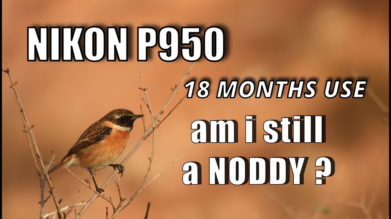 NIKON P950 CAMERA ....18 MONTHS USE ...AM I STILL A NODDY ?    YOU DECIDE