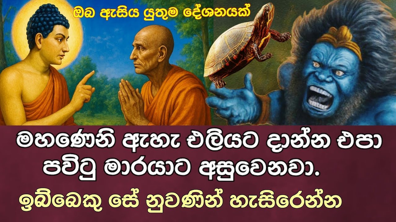 කුම්ම සූත්‍රය ඇසුරින් කෙරෙන අගනා විග්‍රහය | buddha | #buddhism    | buddha path 😍
