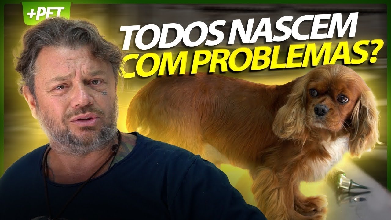 A RAÇA CAVALIER KING NASCE COM SOPRO NO CORAÇÃO! | PT. 3 | CUIDADOS VETERINÁRIOS