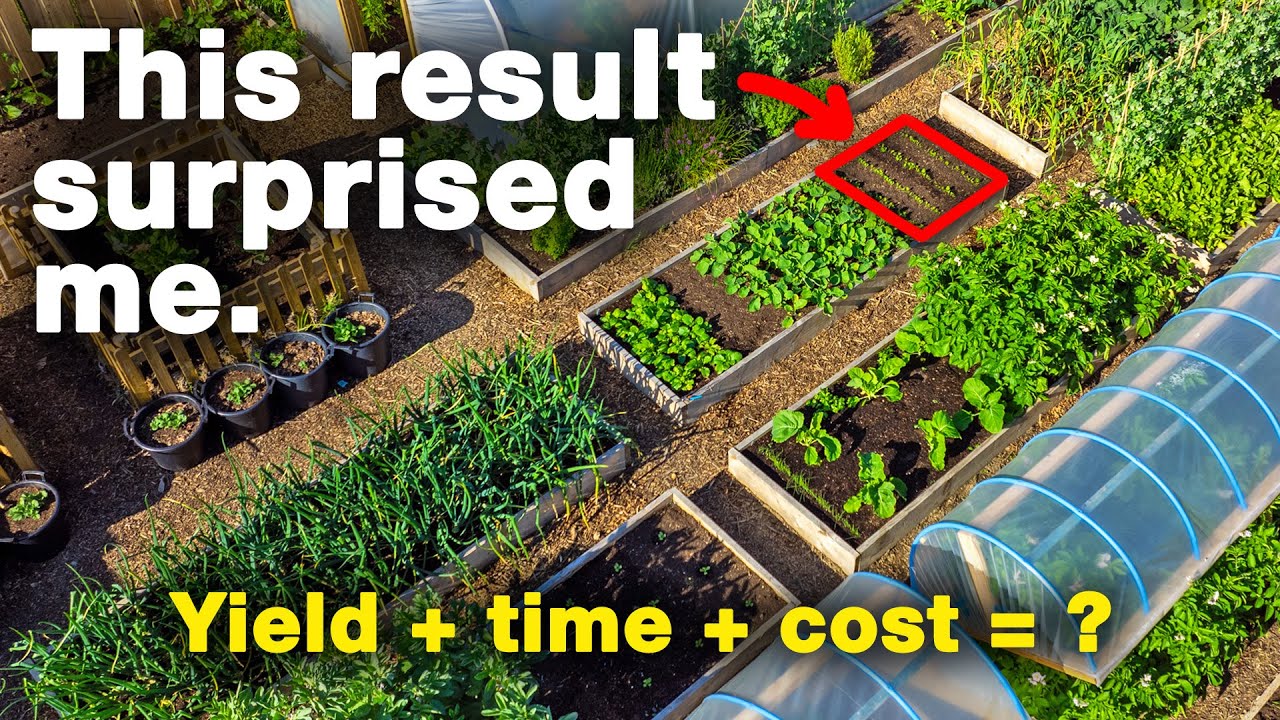 The Economics of Growing Your Own Food