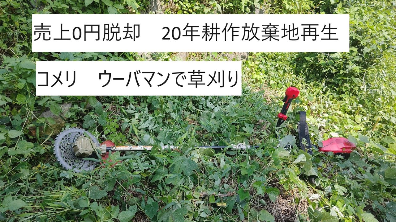 コメリ　ウーバマンで草刈り!!いのしし被害