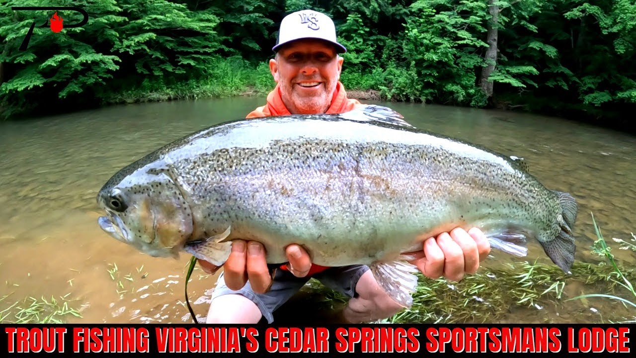 Trout Fishing Cedar Springs Sportsmans Lodge