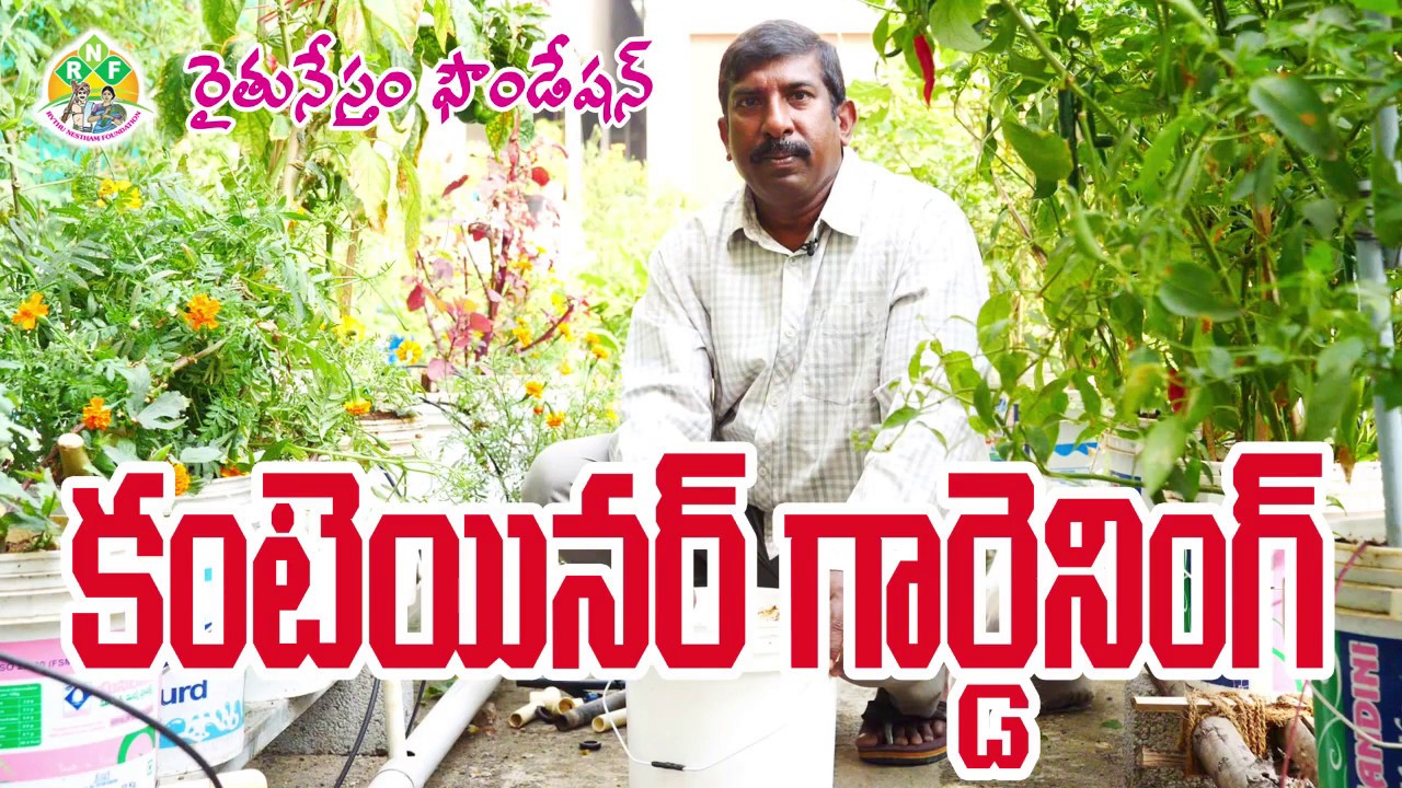 Container Gardening || Bucket Gardening | Rythu Nestham |Roof Gardening