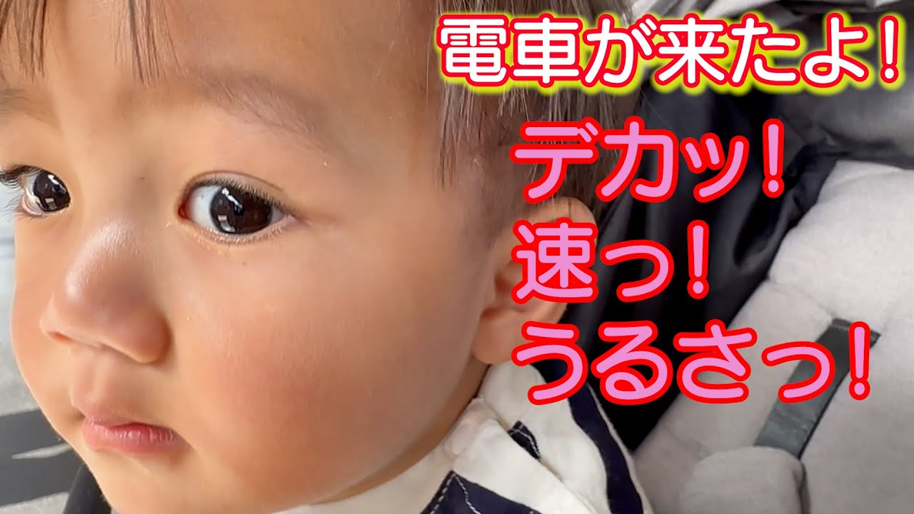 都会の電車を見た田舎赤ちゃんの反応ｗ