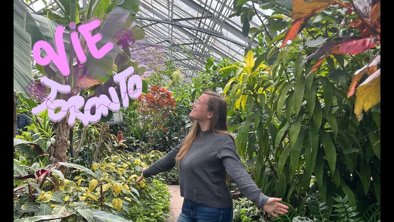 Volontariat International en Entreprise &agrave; Toronto (Canada 🇨🇦) : Courses et Allan Gardens