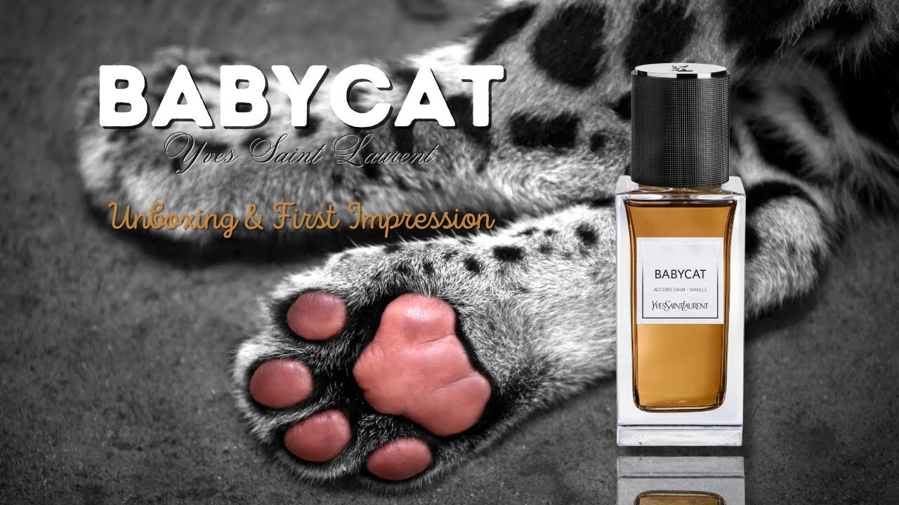 Unboxing - First Impression - Babycat - Yves Saint Laurent