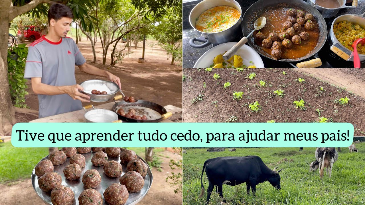 Rotina de quarta-feira/ fiz almôndegas no fogão a lenha 🪵 / Como está as hortaliças com a chuva!🌧️ 