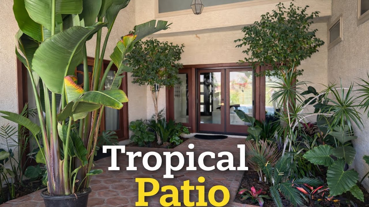 This Patio Used to Kill Tropical Plants (Before & After)
