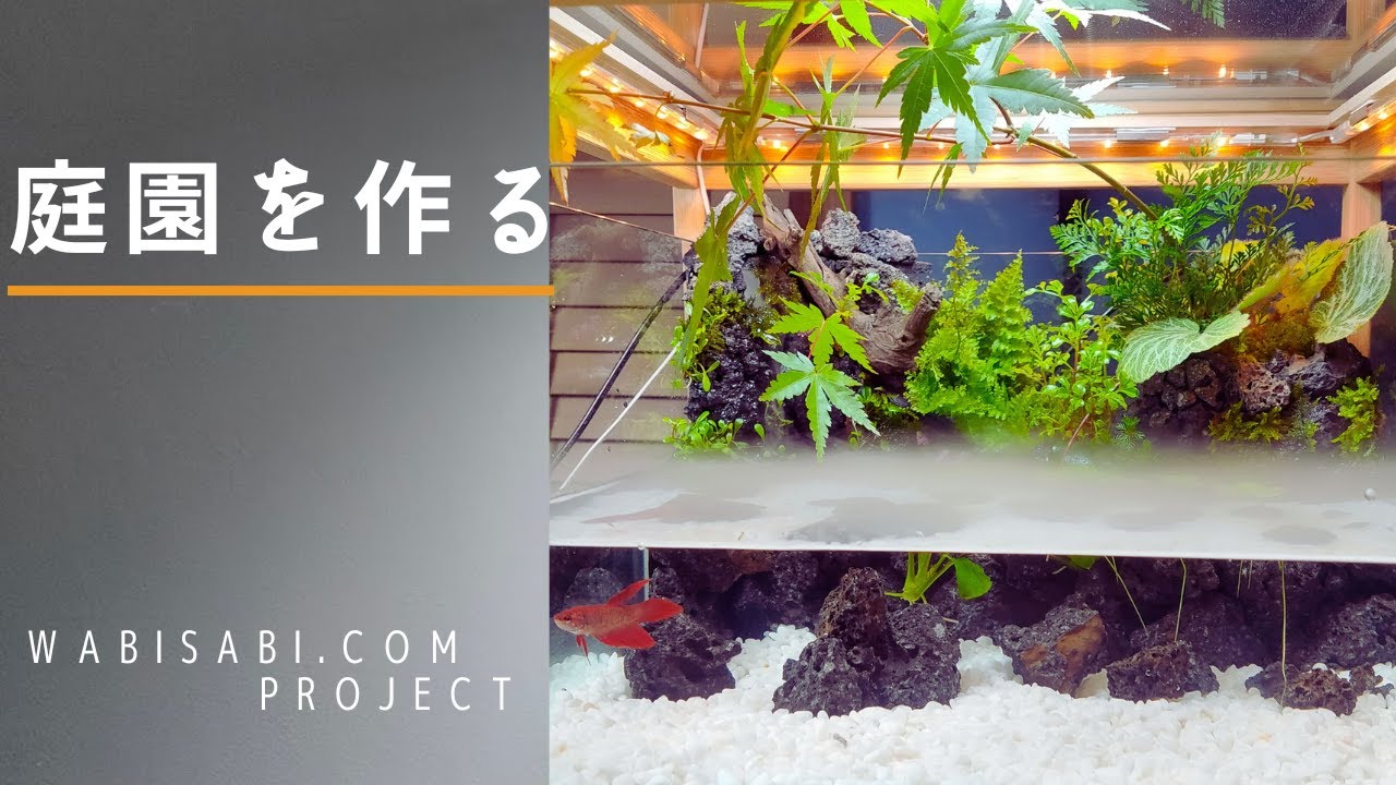 【アクアテラリウムの作り方】滝とミストが流れる庭園水槽を作る