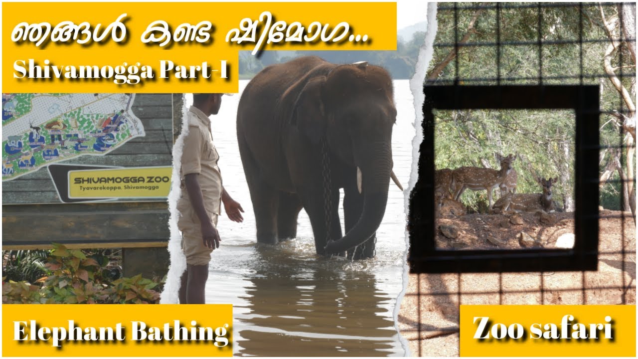 SHIVAMOGGA TRIP MALAYALAM VLOG PART-I SHIVAMOGGA ZOO AND LION TIGER SAFARI 2024