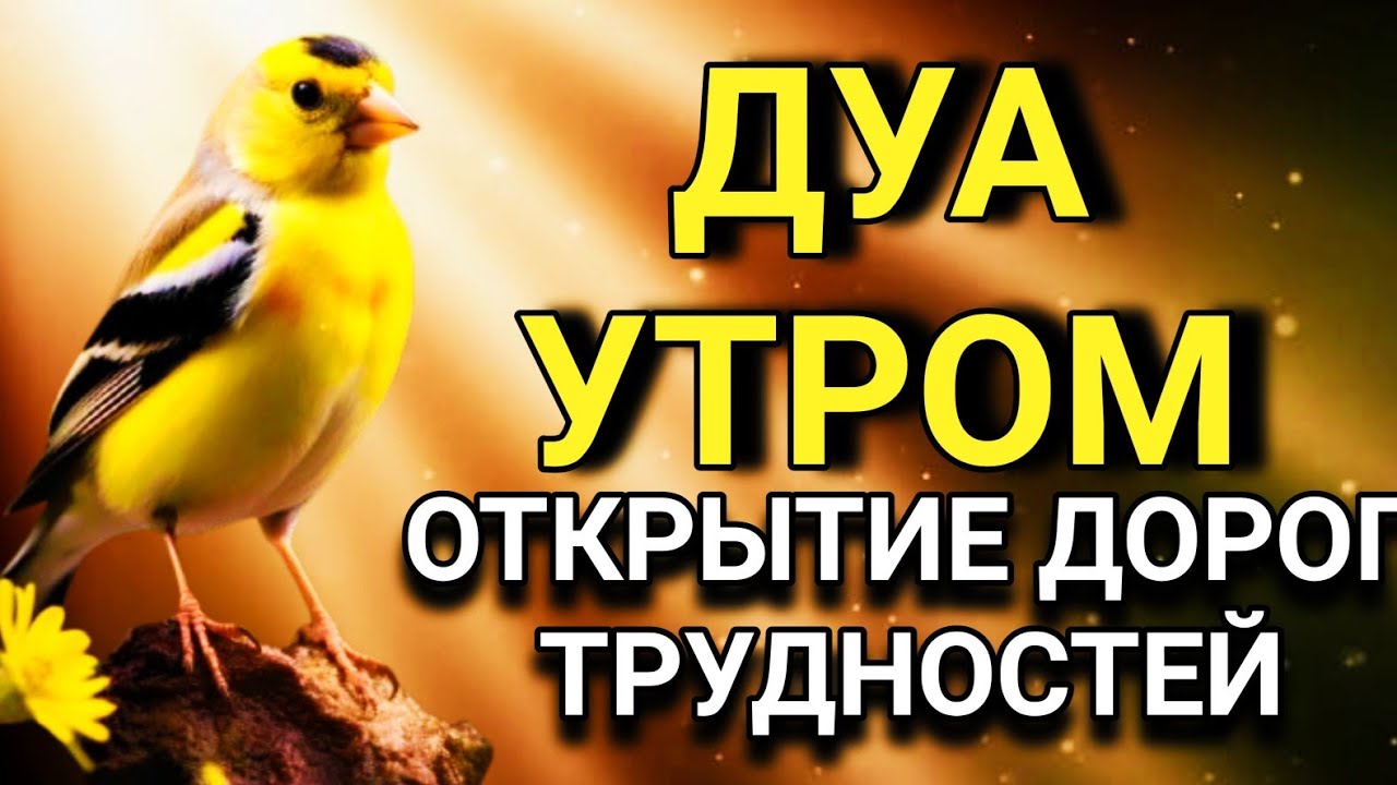 💘🔑 ОБЛЕГЧЕНИЕ ЛЮБЫХТРУДНОСТЕЙ: ОТКРЫТИЕ ДОРОГ 🤲✨🔑💯