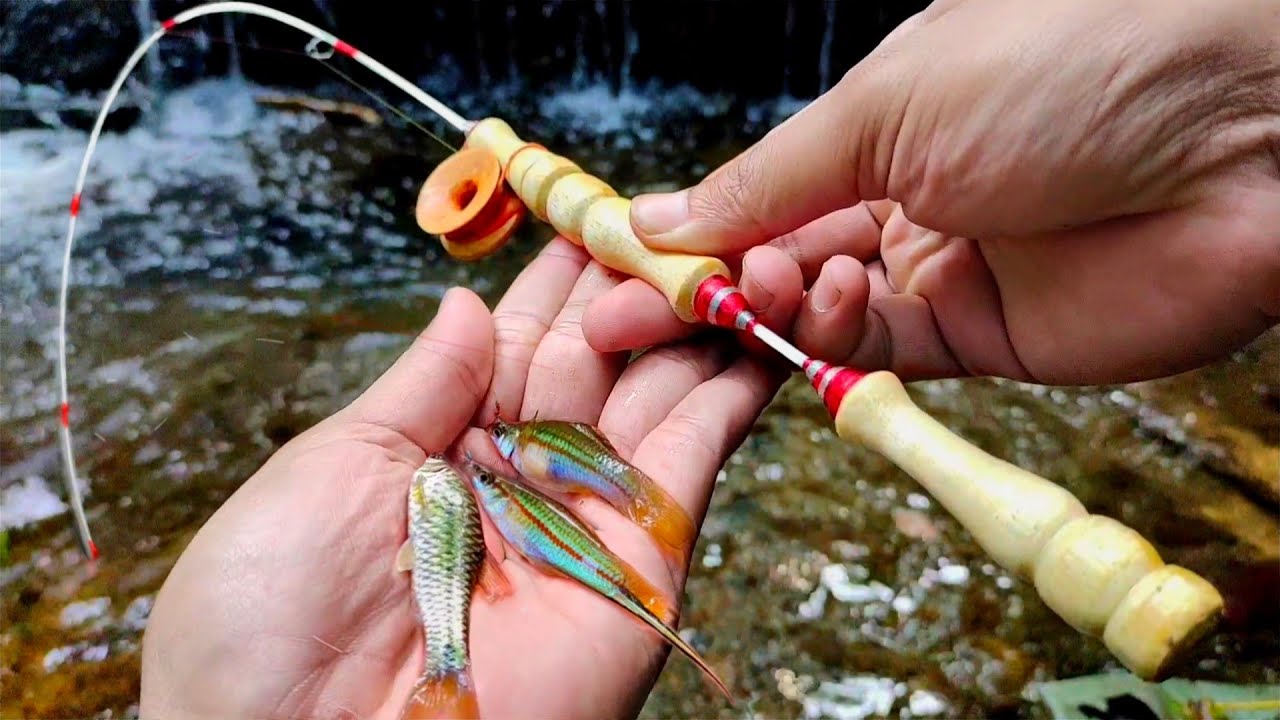 Membuat Joran pancing Super Lentur + Memancing Ikan Lokal Eksotis