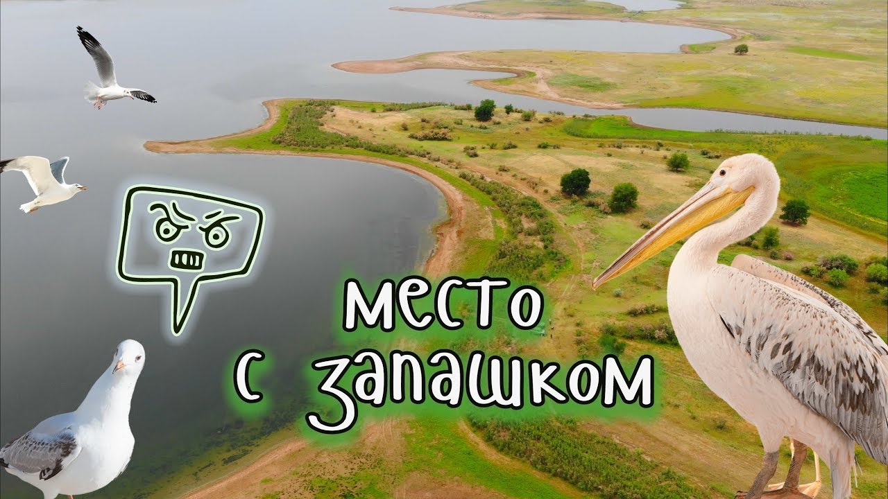 Секретное место с запашком. Рай для орнитологов. Сезон купания открыт.