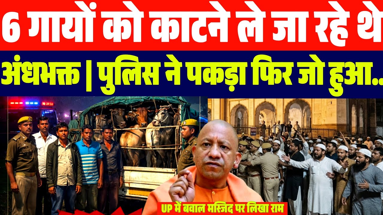 गौ कशी करने 6 गायों को ले जाते पकड़े गए 5 अंधभक्त | उसके बाद जो हुआ देखें.| UP में बवाल मस्जिद में..