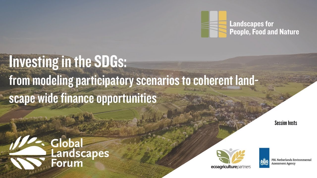 Investing in the SDGs: modeling participatory scenarios to landscape finance opportunities