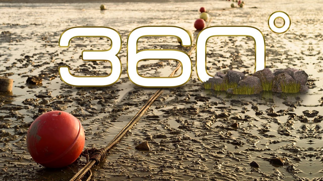 360° Video, Mud Beach in Seongmodo Island, South Korea, 8K VR video