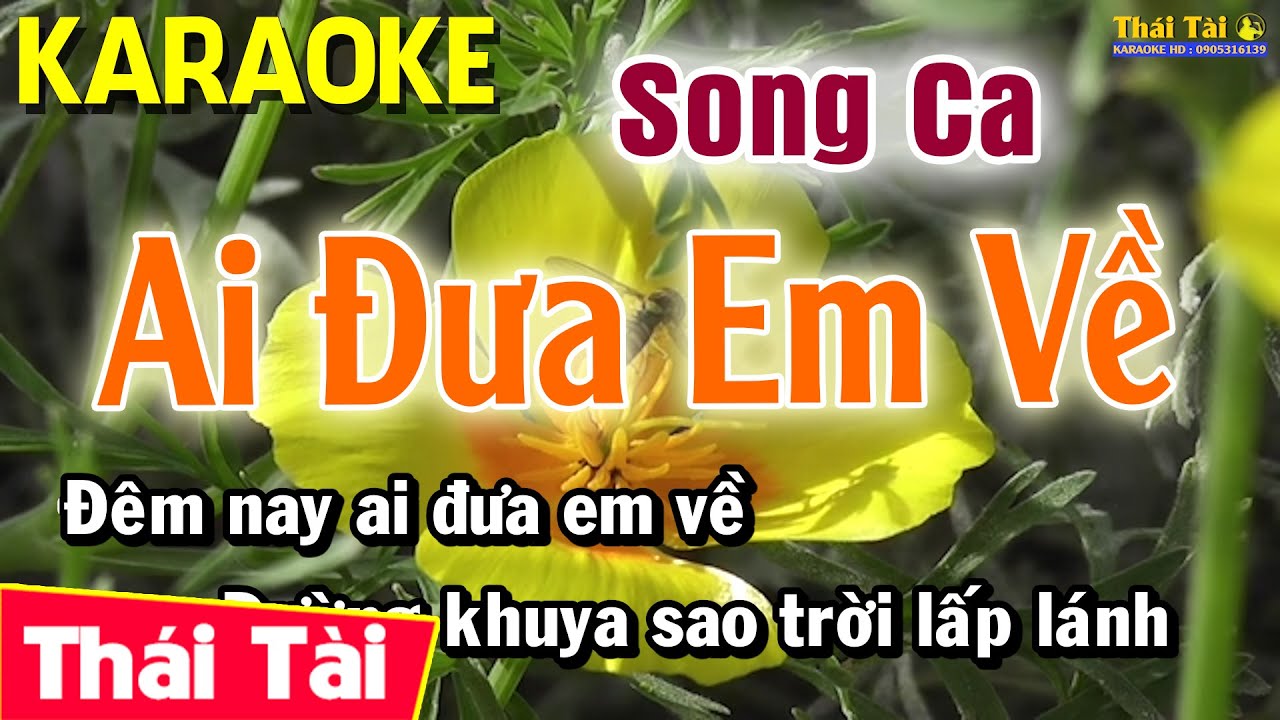 Karaoke Ai Đưa Em Về | Song Ca | Thái Tài
