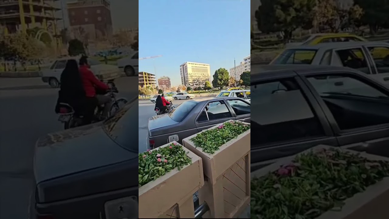 فلكة أب بيت المقدس مشهد إيران 2026-2-17