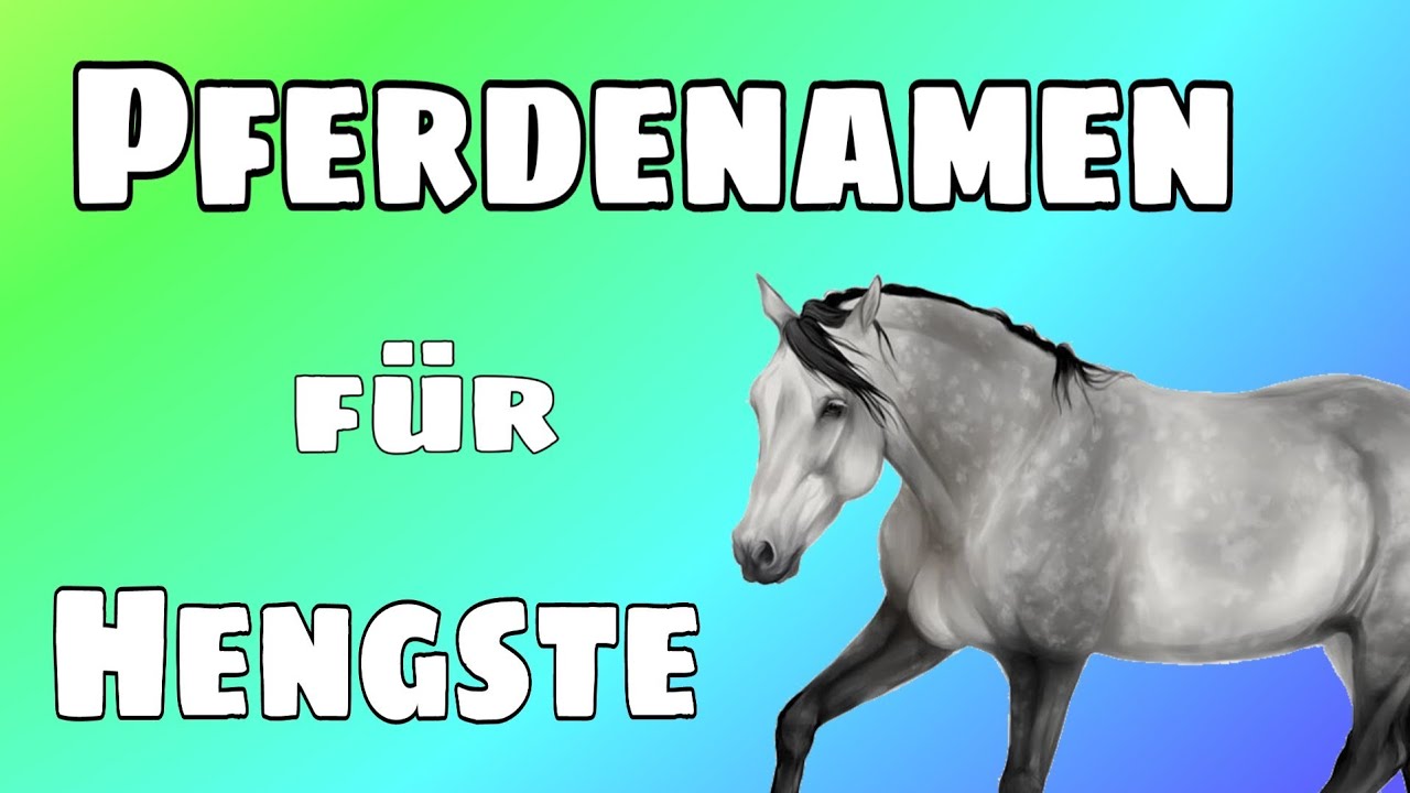 Pferdenamen für Hengste 🐎