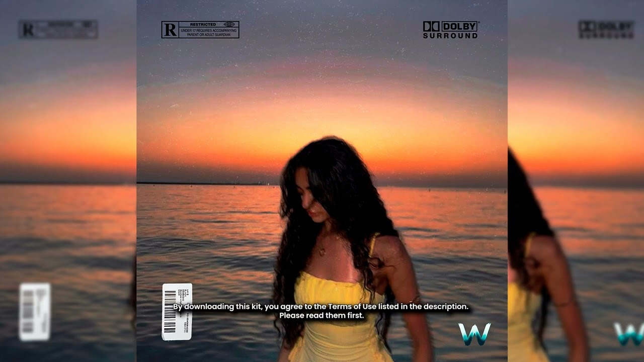 [FREE] Reggaeton Afro House Loop Kit - 