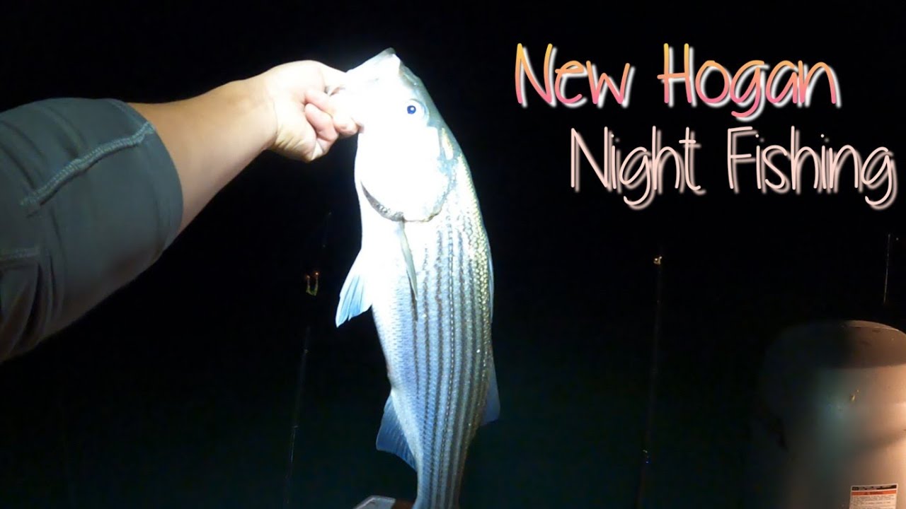 New Hogan Night Fishing | Nuv Ntses Striper Hmo Ntuj
