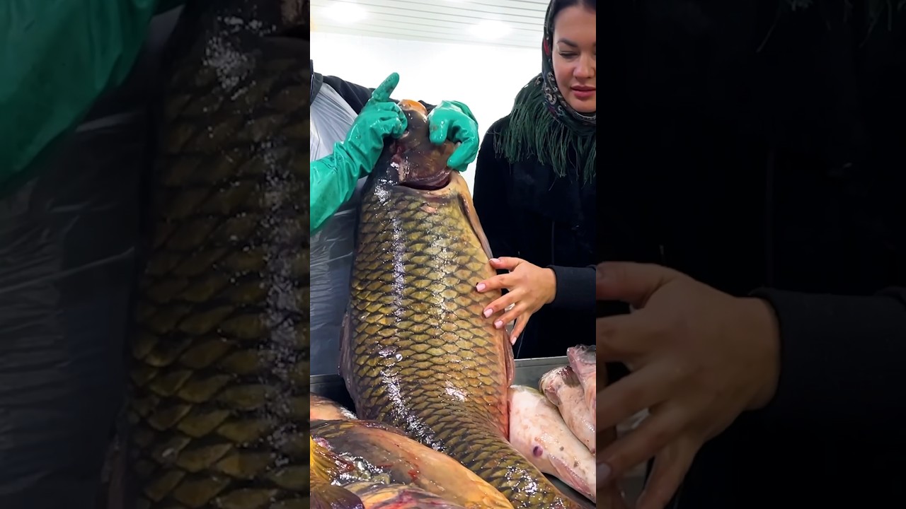 Cooking Large Fish in the Oven! 🔥