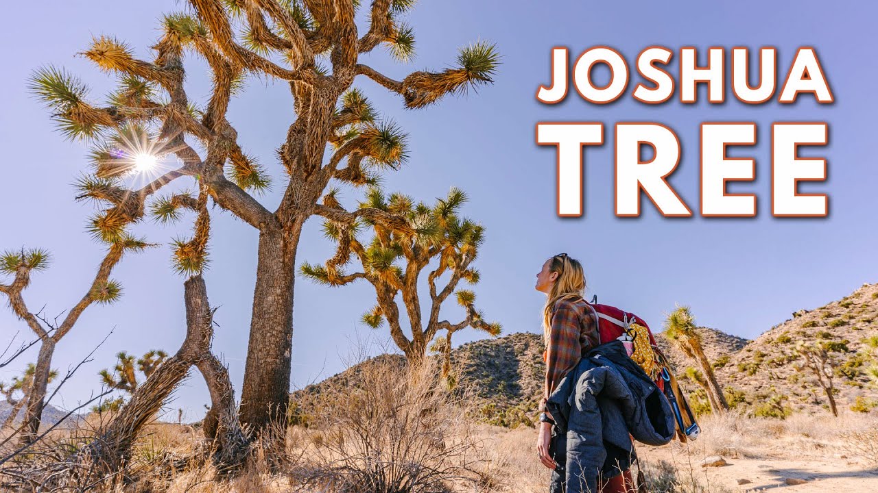 Want to hike Joshua Tree National Park? // Panorama Loop // Black Rock Canyon