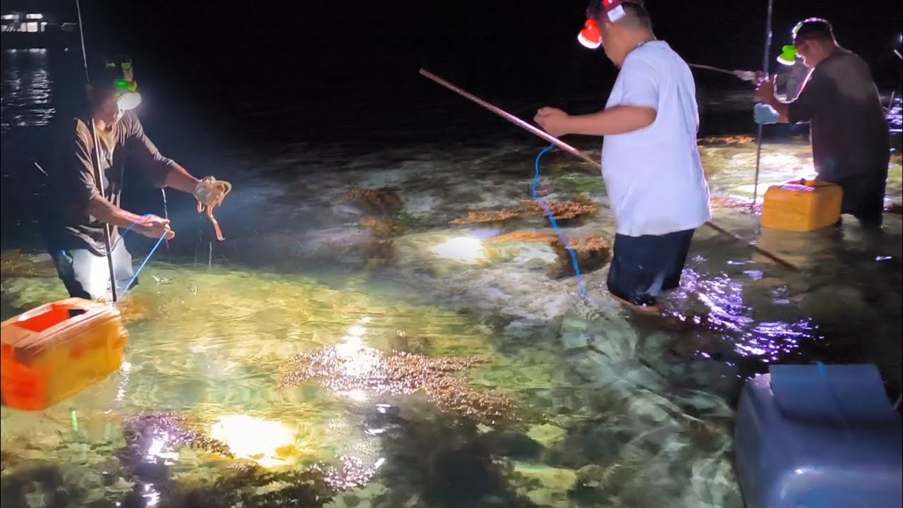 Selepas Sahur Langsung Berburu Kepiting, Gurita dan Ikan Pari. 