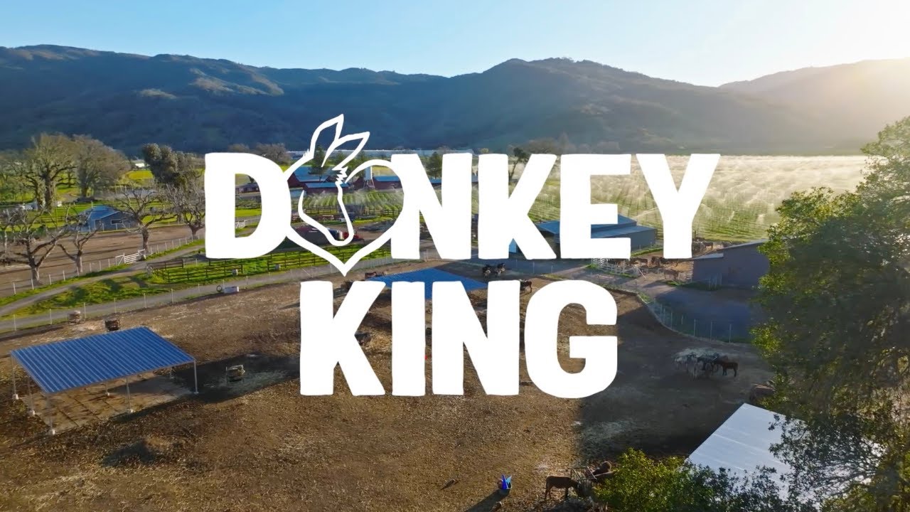 Donkey King S1:E4 Rosalie to the Occasion